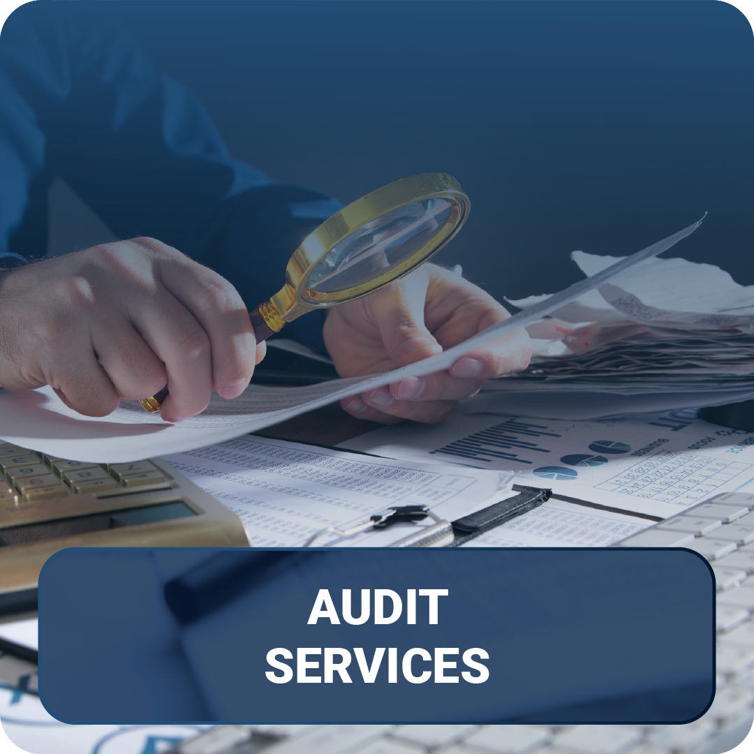 AUDIT SERVICES